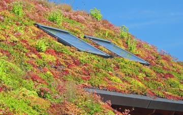 Carnforth living roof systems